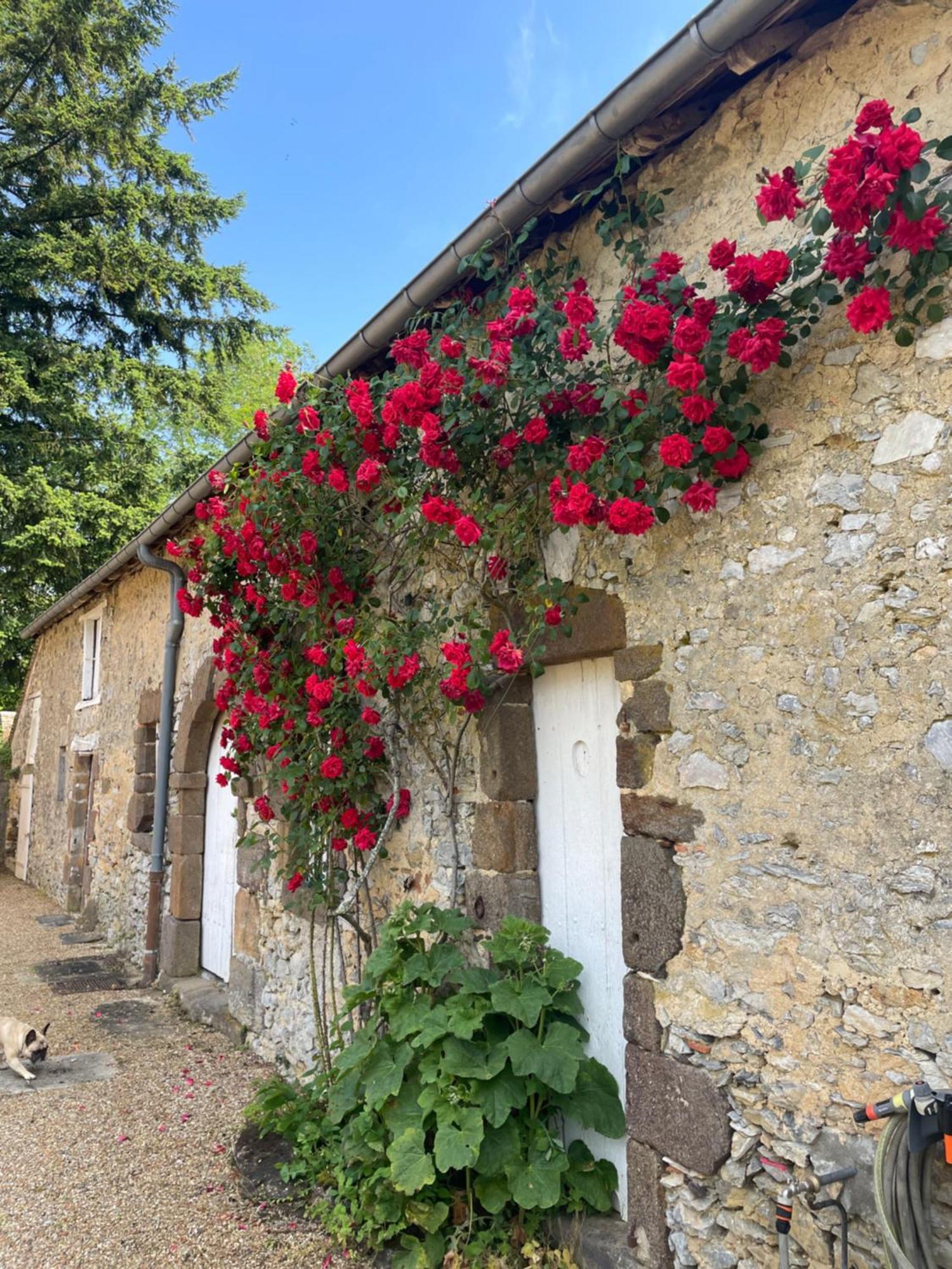 Le Clos De Paris Френе-сюр-Сарт Экстерьер фото